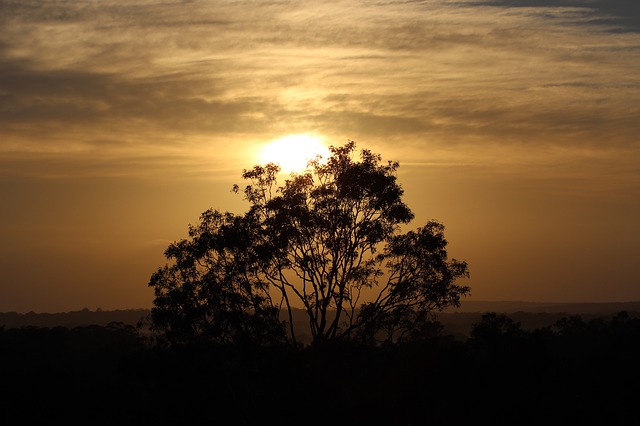 View of Hunter Valley in Australia